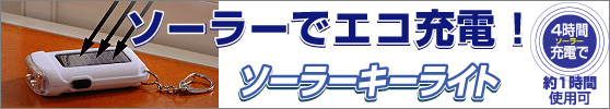 �X�}�C���L�b�Y���\�[���[�L�[���C�g�iASL�|05�j